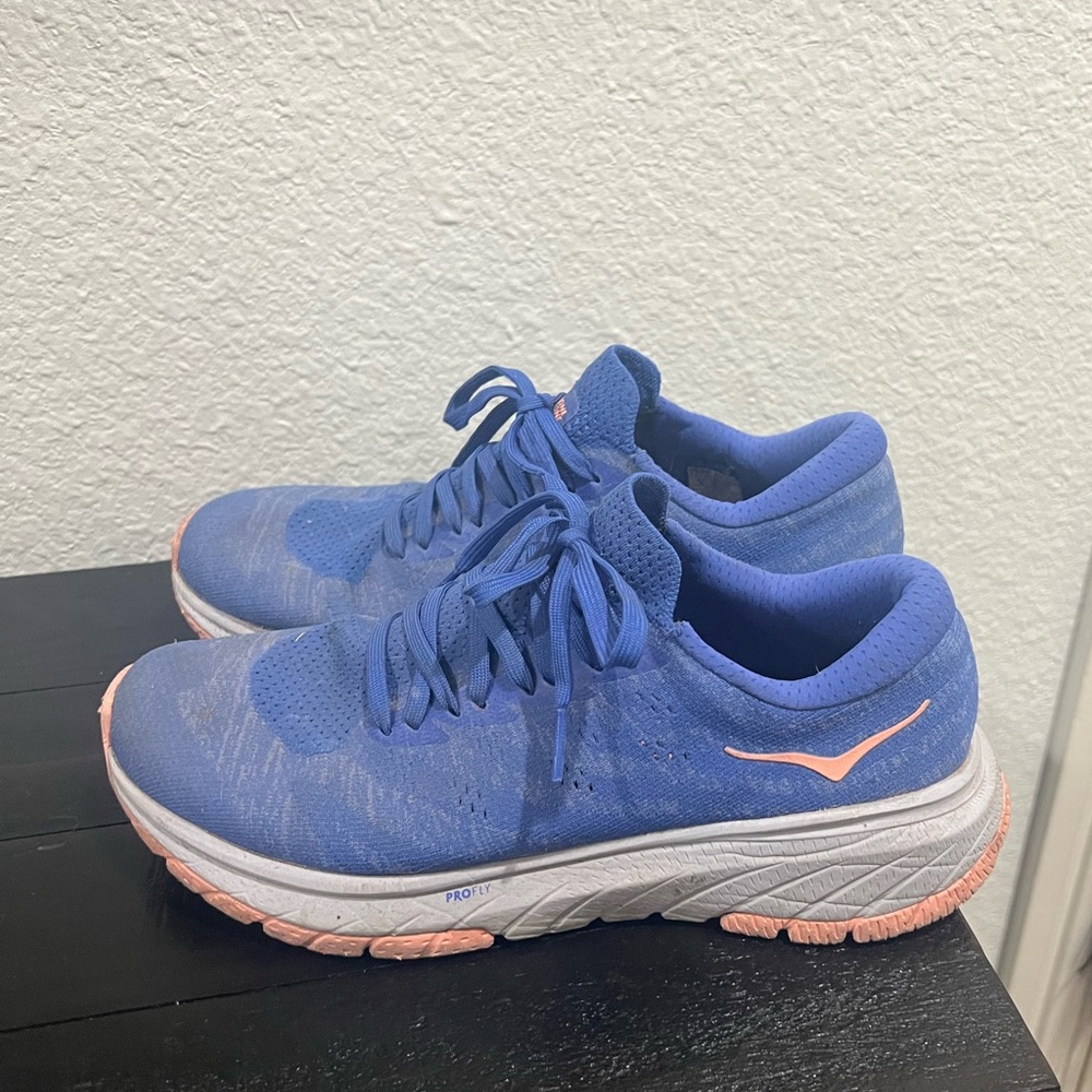 Hoka Pro Fly